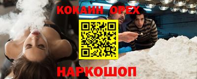 крисы Гатчина