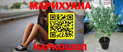 винт Гай