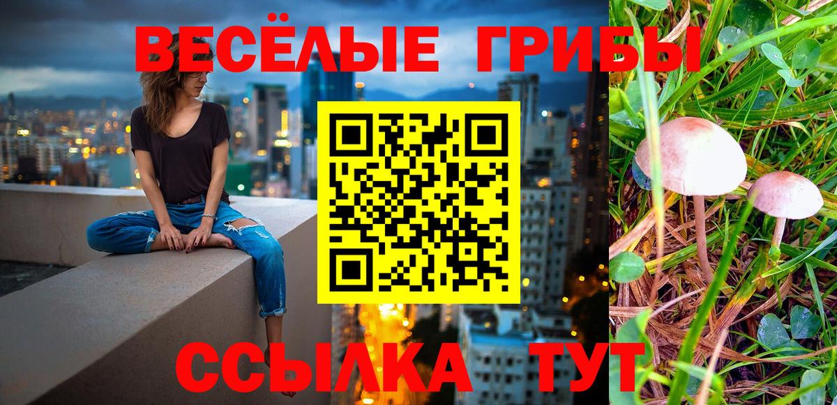 Галлюциногенные грибы прущие грибы Бутурлиновка